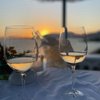 Sunset Chaser