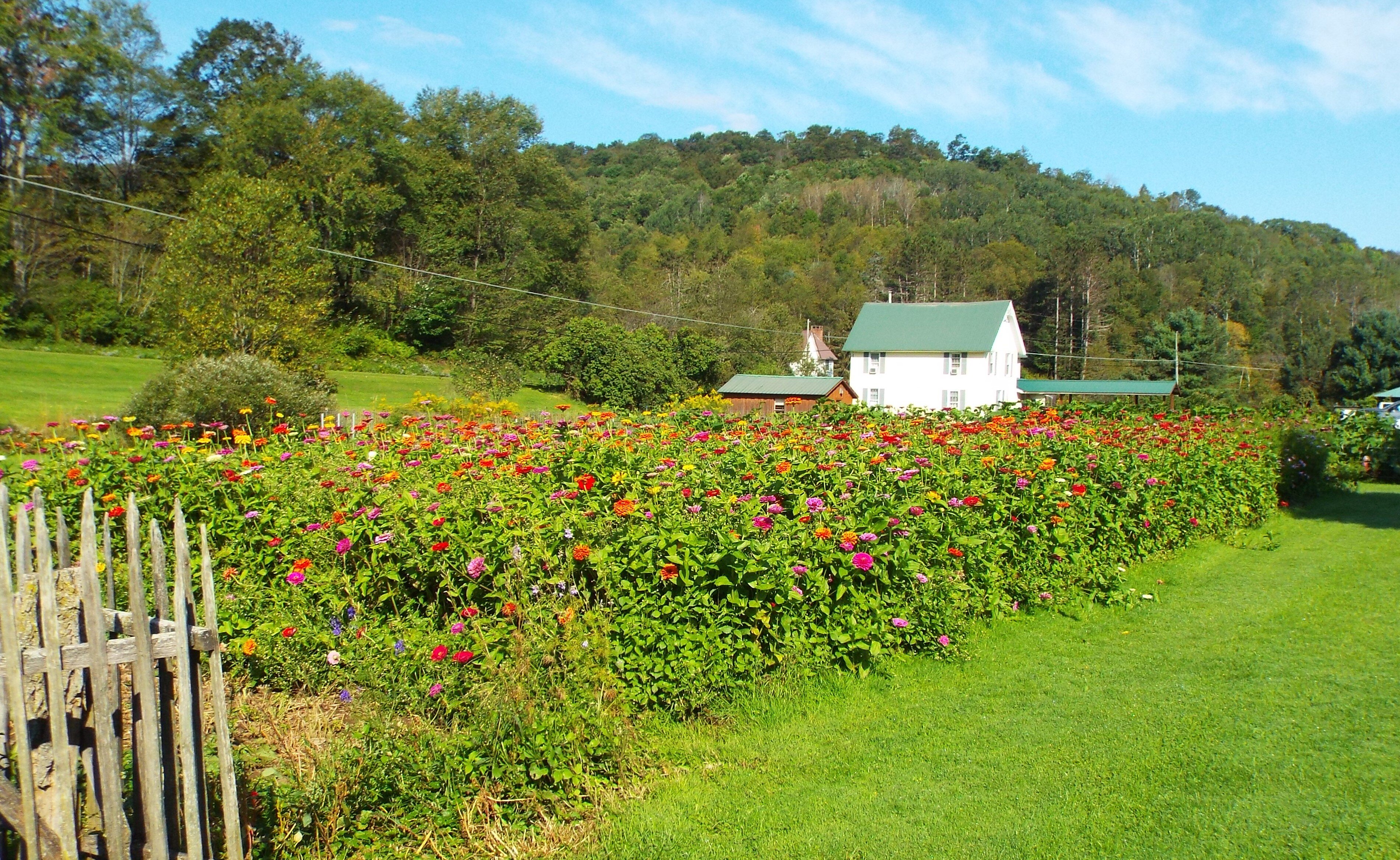 FROSTY HOLLOW BED AND BREAKFAST - Updated 2024 Reviews & Photos