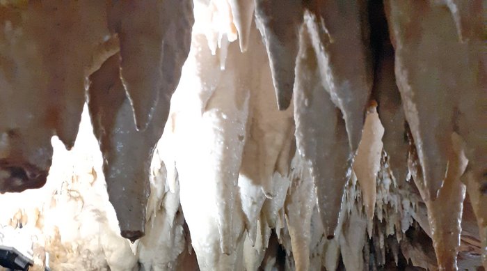 Imagen 8 de Cuevas de Ortigosa de Cameros