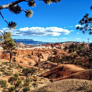 bryce canyon tours from kanab