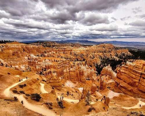 are dogs allowed in bryce canyon national park