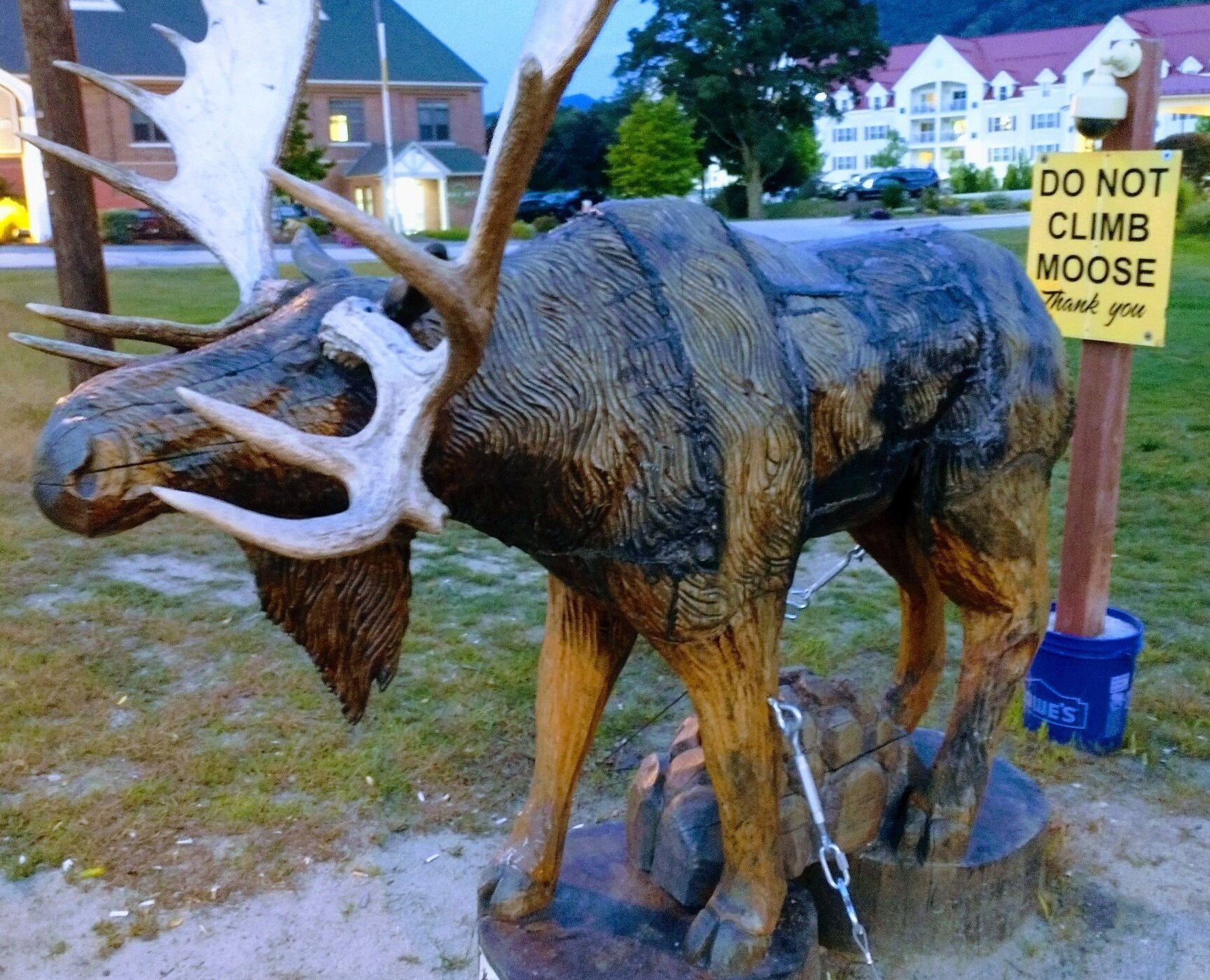 moose tours near lincoln nh
