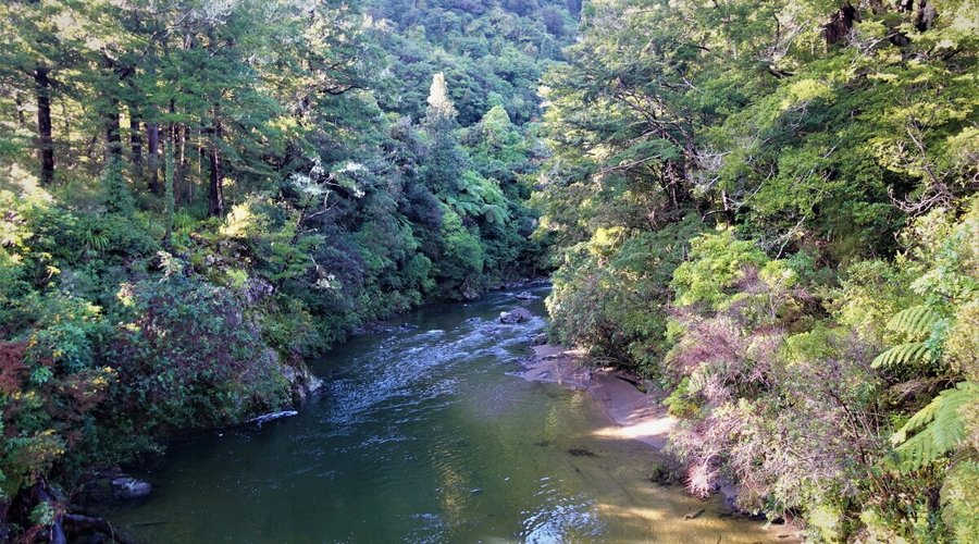  Kaitoke Regional Park