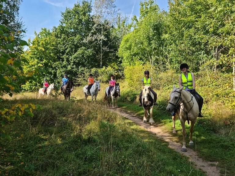 Derbyshire Pony Trekking image