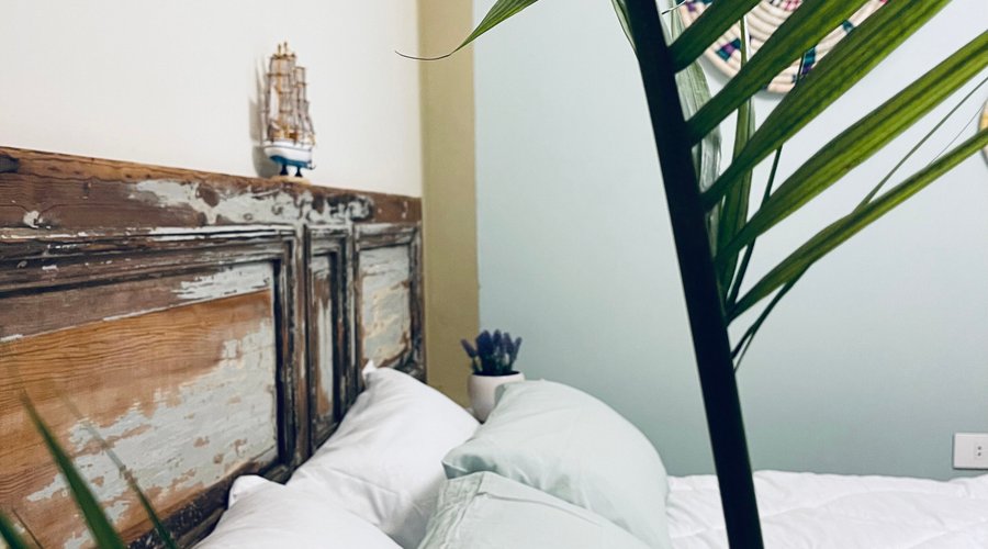Get rid of your anxiety, stress and insomnia in your soothing Lavender room.