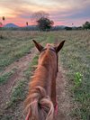 Cavalgada Recanto do Peão: Passeio a Cavalo em Bonito MS