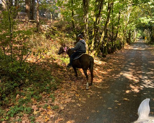 horseback riding tours vancouver island