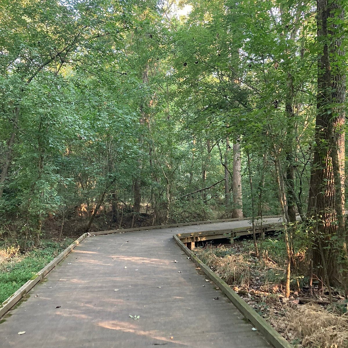 Mcmullen Creek Greenway Charlotte All You Need To Know Before You Go