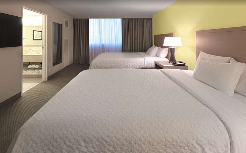 Hotel photo 42 of Embassy Suites by Hilton Tampa Airport Westshore.