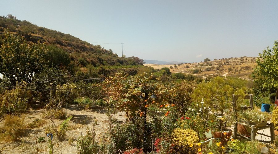 30FILLA GUESTHOUSE - Guest house Reviews (Vasa, Cyprus) 30FILLA GUESTHOUSE -  Guest house Reviews (Vasa, Cyprus)