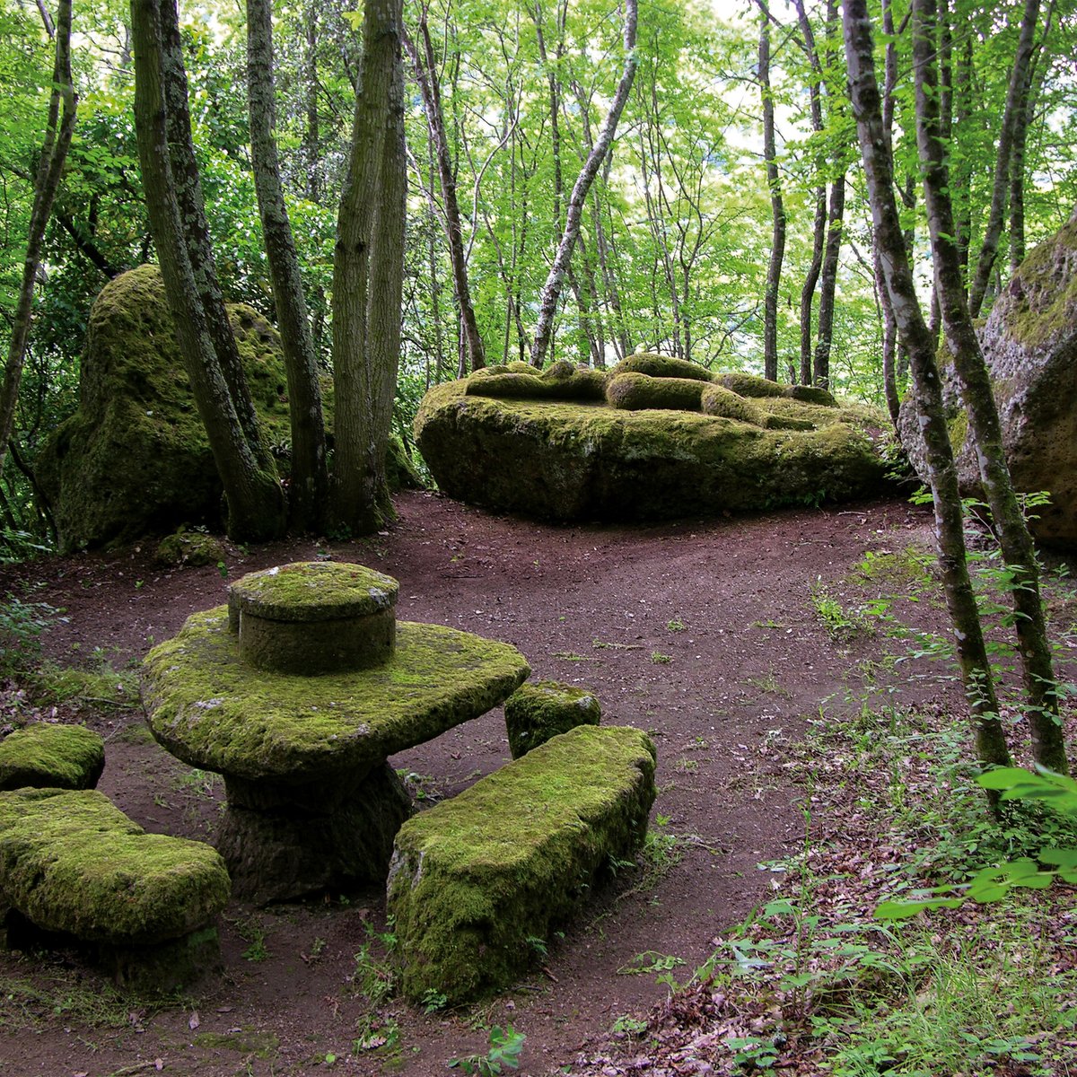 OPERA BOSCO - MUSEO DI ARTE NELLA NATURA (Calcata) - 2023 What to Know  BEFORE You Go