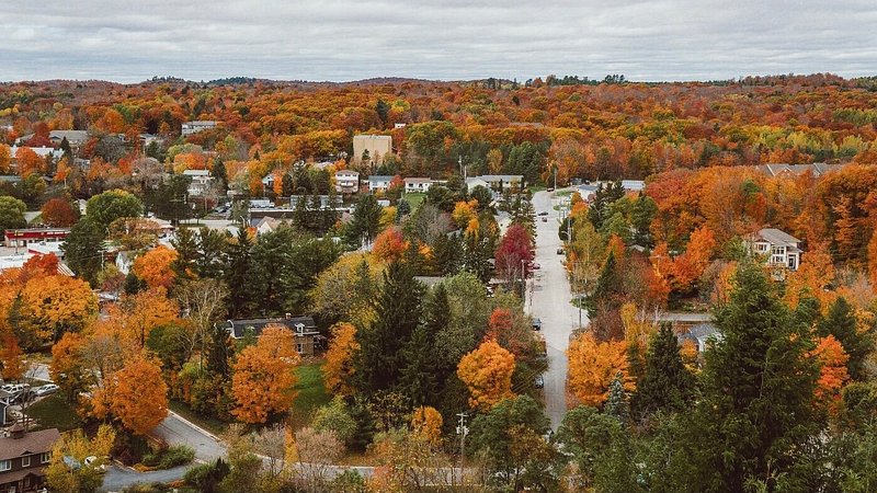 Aerial view of Lions Lookout