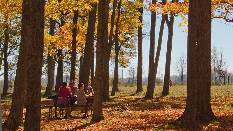 Luskville Falls Picnic Grounds