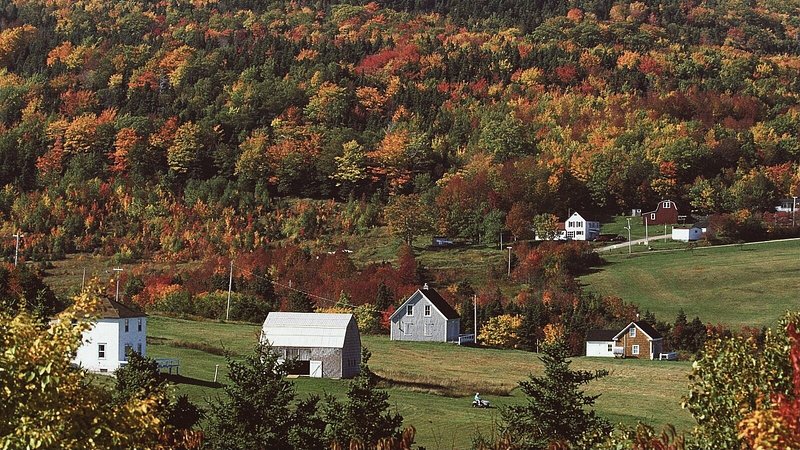 Cottages along Cabot trail