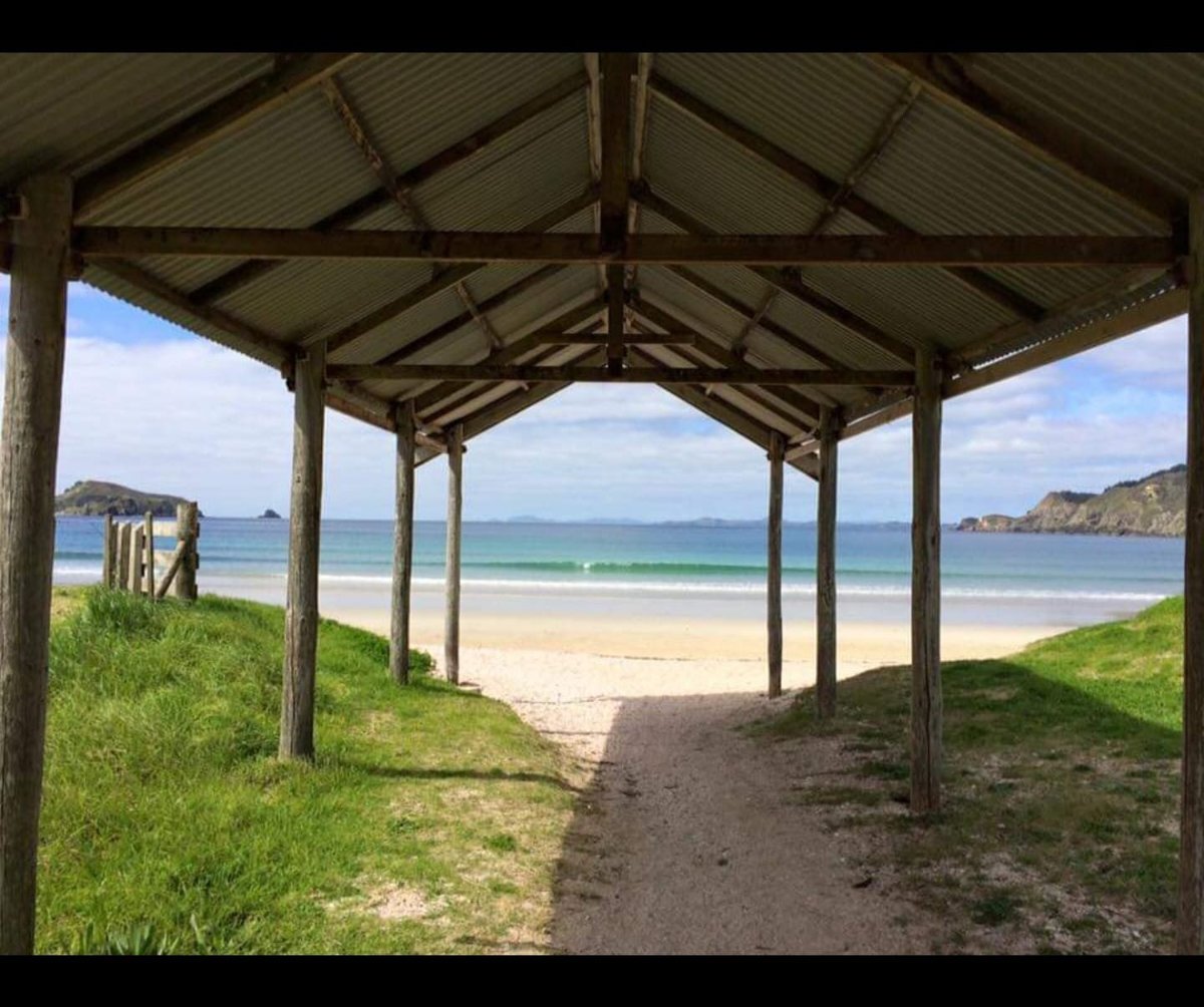 Matauri Bay Holiday Park Snorkeling: Pictures & Reviews - Tripadvisor