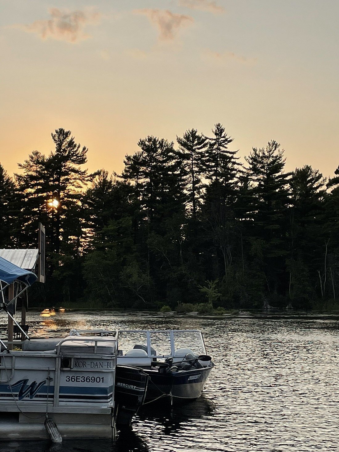 ISLANDVIEW COTTAGES Updated 2024 Cottage Reviews (Lakefield, Ontario)