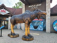 Maple Leaf Place - All You Need to Know BEFORE You Go (with Photos)