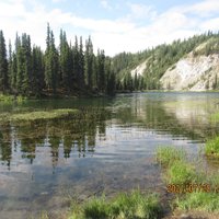 Horseshoe Lake Trail (Denali National Park and Preserve) - All You Need ...