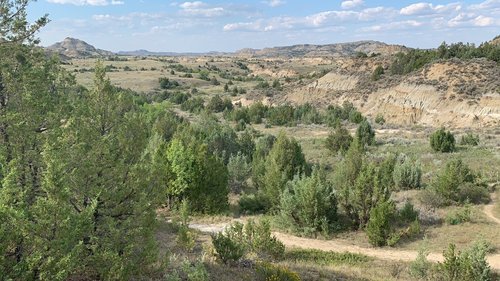 Theodore Roosevelt National Park review images