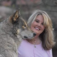 Colorado Wolf Adventures (Woodland Park) - All You Need to Know BEFORE ...