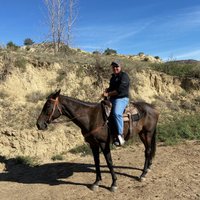 Medora Riding Stables - All You Need to Know BEFORE You Go (2024)