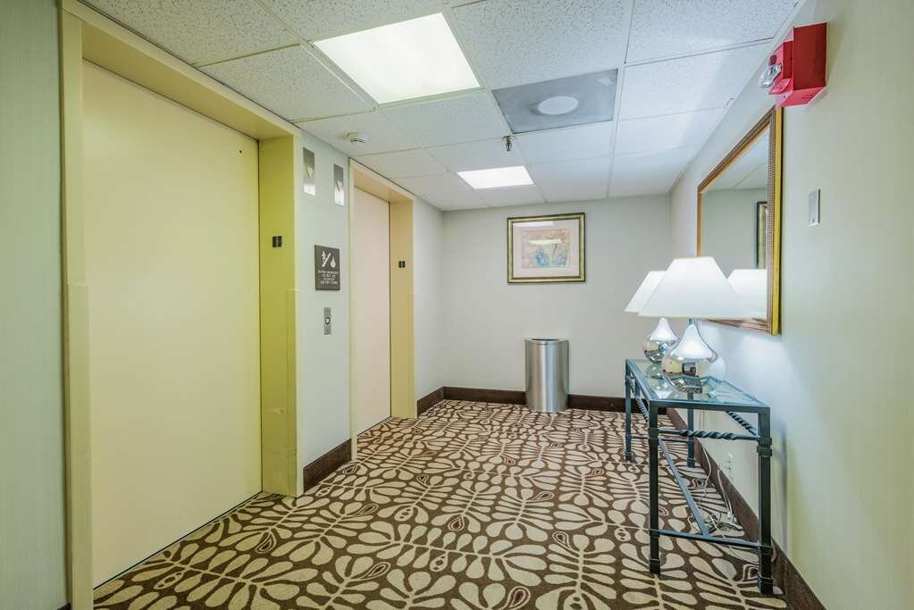 Hotel photo 12 of Hampton Inn Tampa International Airport / Westshore.