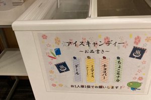 旅行者の写真