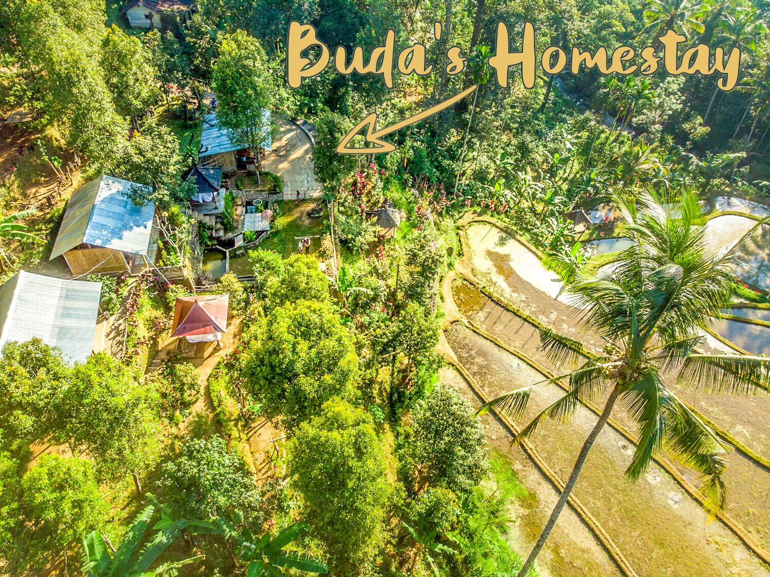 BUDA'S HOMESTAY LEMUKIH - Updated 2024 Prices & B&B Reviews (Indonesia)