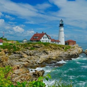 are dogs allowed at portland head light