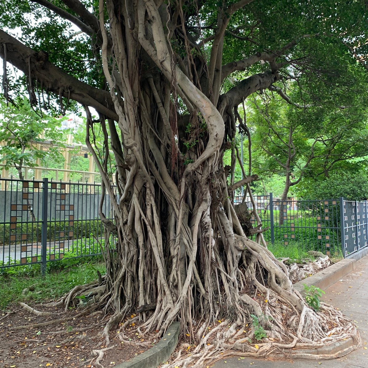 SHAM SHUI PO PARK (Hong Kong) - 2023 What to Know BEFORE You Go