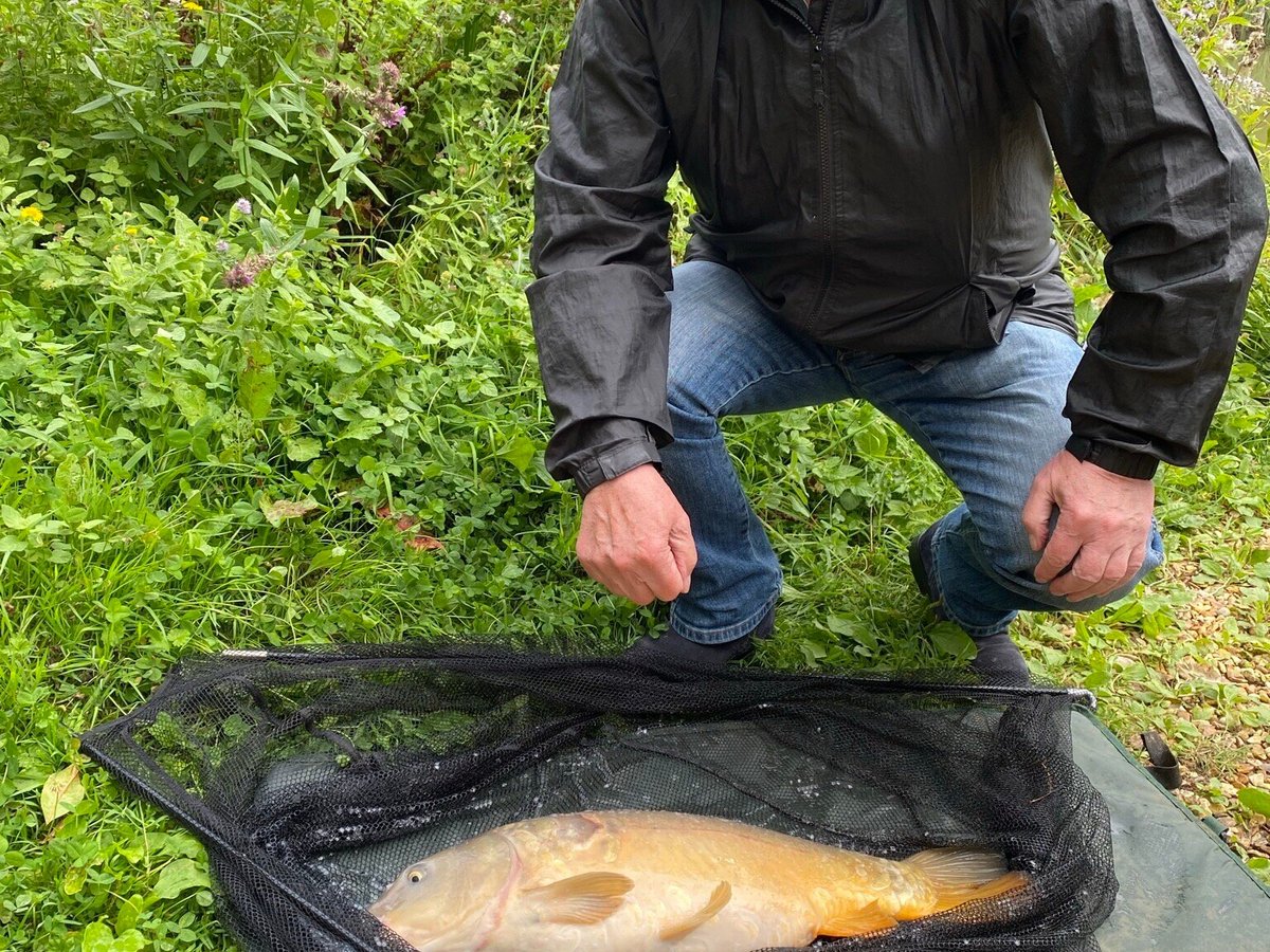 Orchard Lakes Fishery All You Need To Know Before You Go 2024