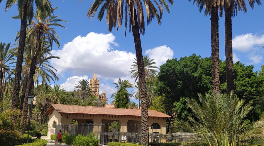 PALME E AIUOLE