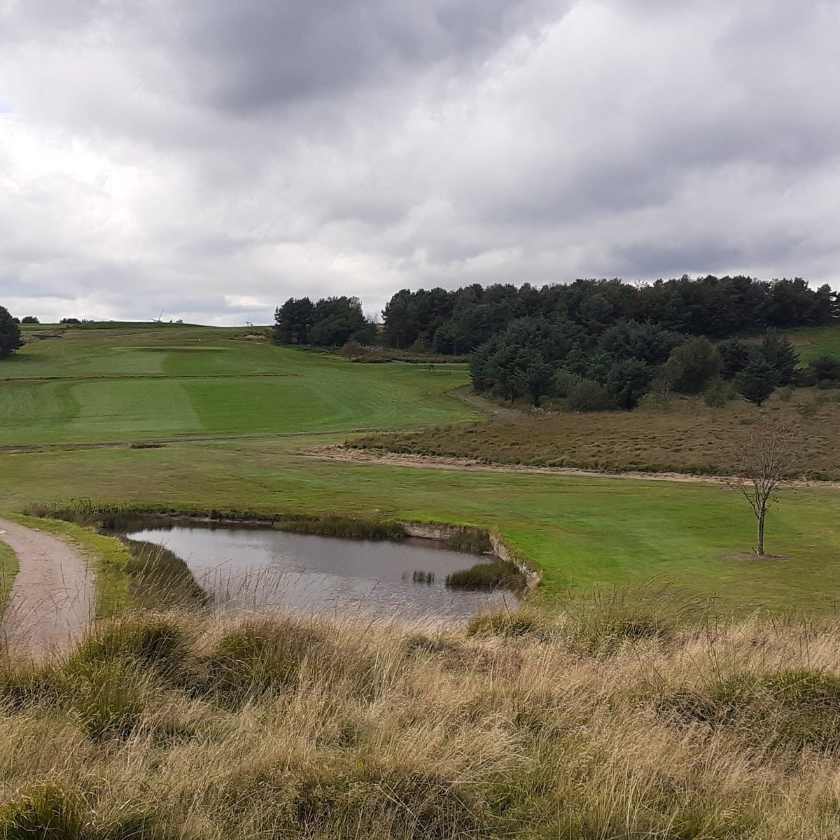 Rhondda Golf Club (Rhondda Cynon Taf): All You Need to Know