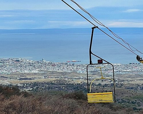 punta arenas free tour