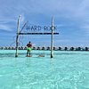 Fr3d@montravelblog