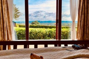 Room & Suite