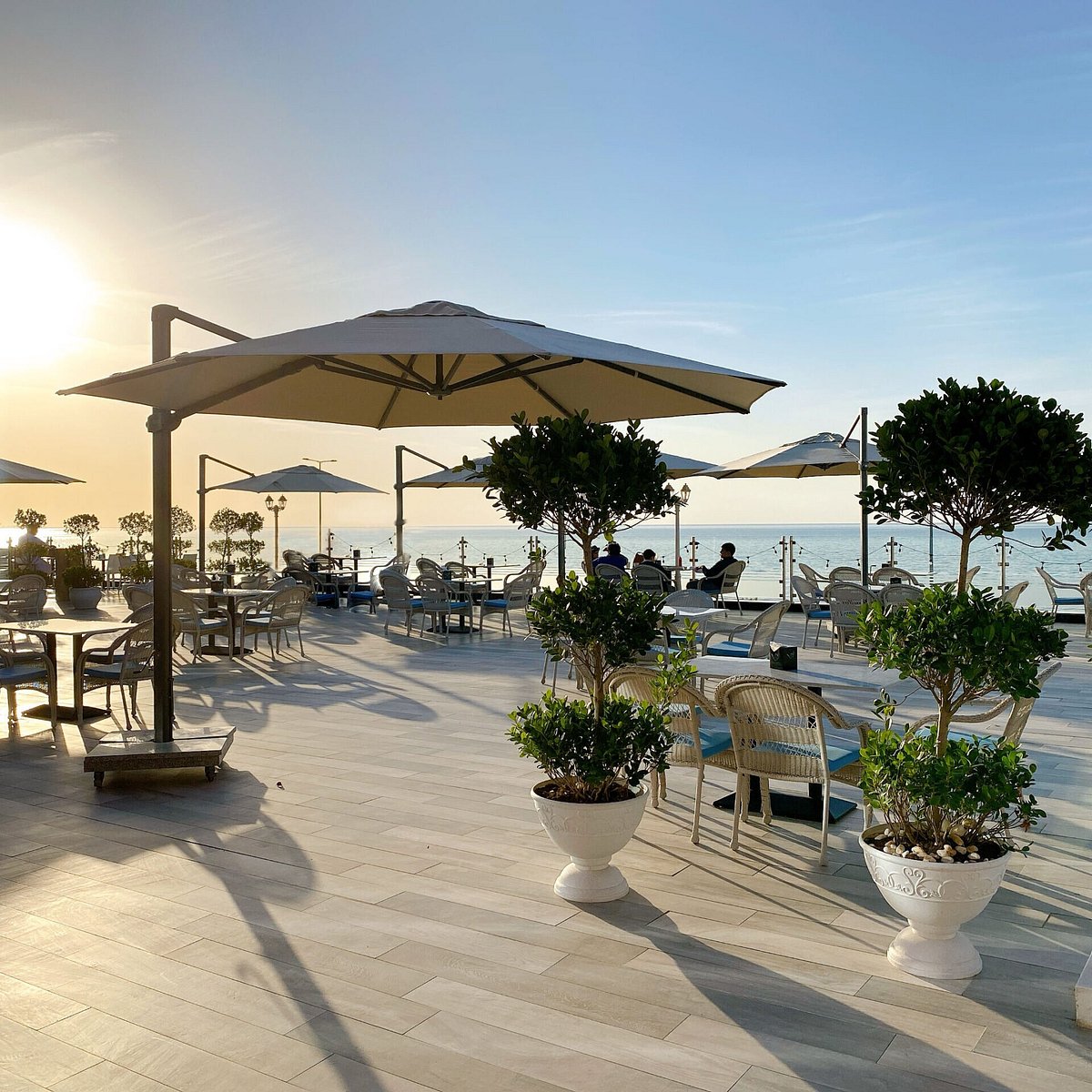 the cove rotana resort 5 оаэ