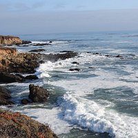 Fiscalini Ranch Preserve (Cambria) - All You Need to Know BEFORE You Go