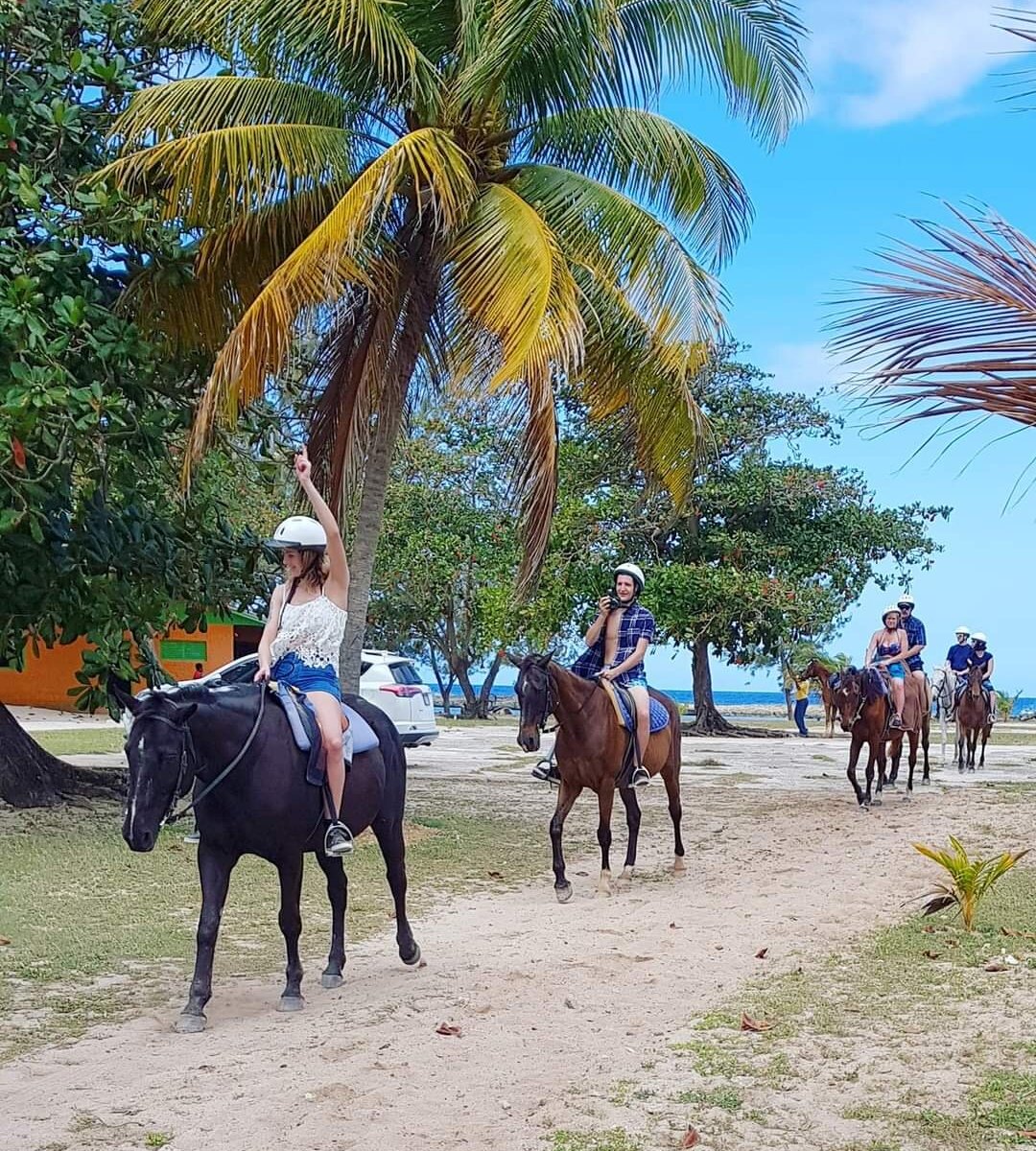 Sand N' Saddle (Rio Bueno, Jamaica): Address, Phone Number - Tripadvisor