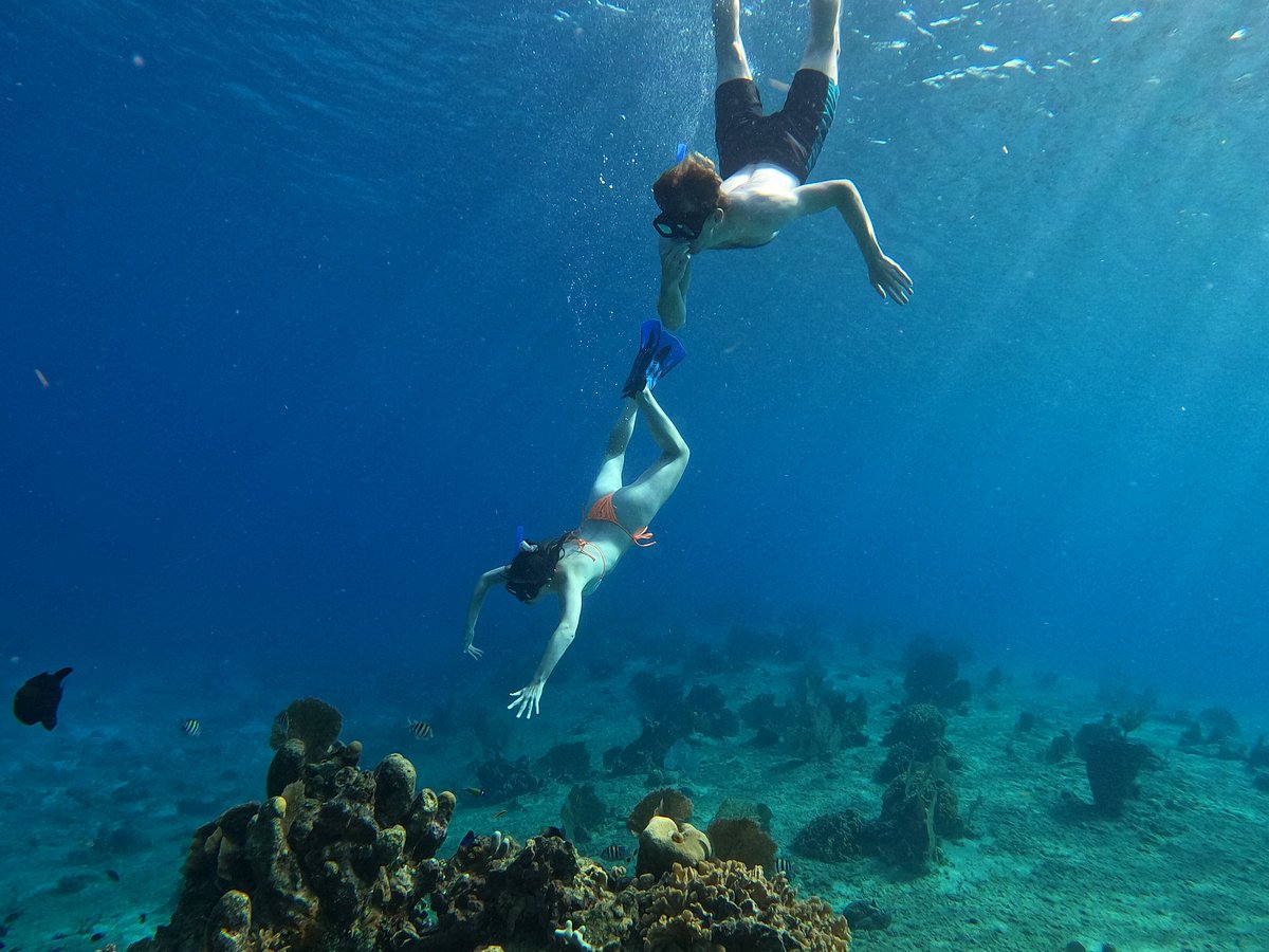 Safe Snorkeling Cozumel - All You Need to Know BEFORE You Go