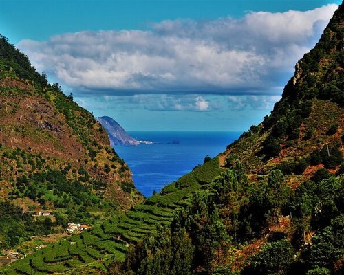 Travelling Through Time with Madeira… — Grande Passione