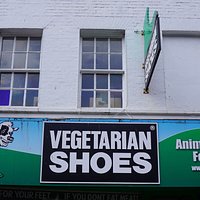 NORTH LAINE (Brighton) - All You Need to Know BEFORE You Go