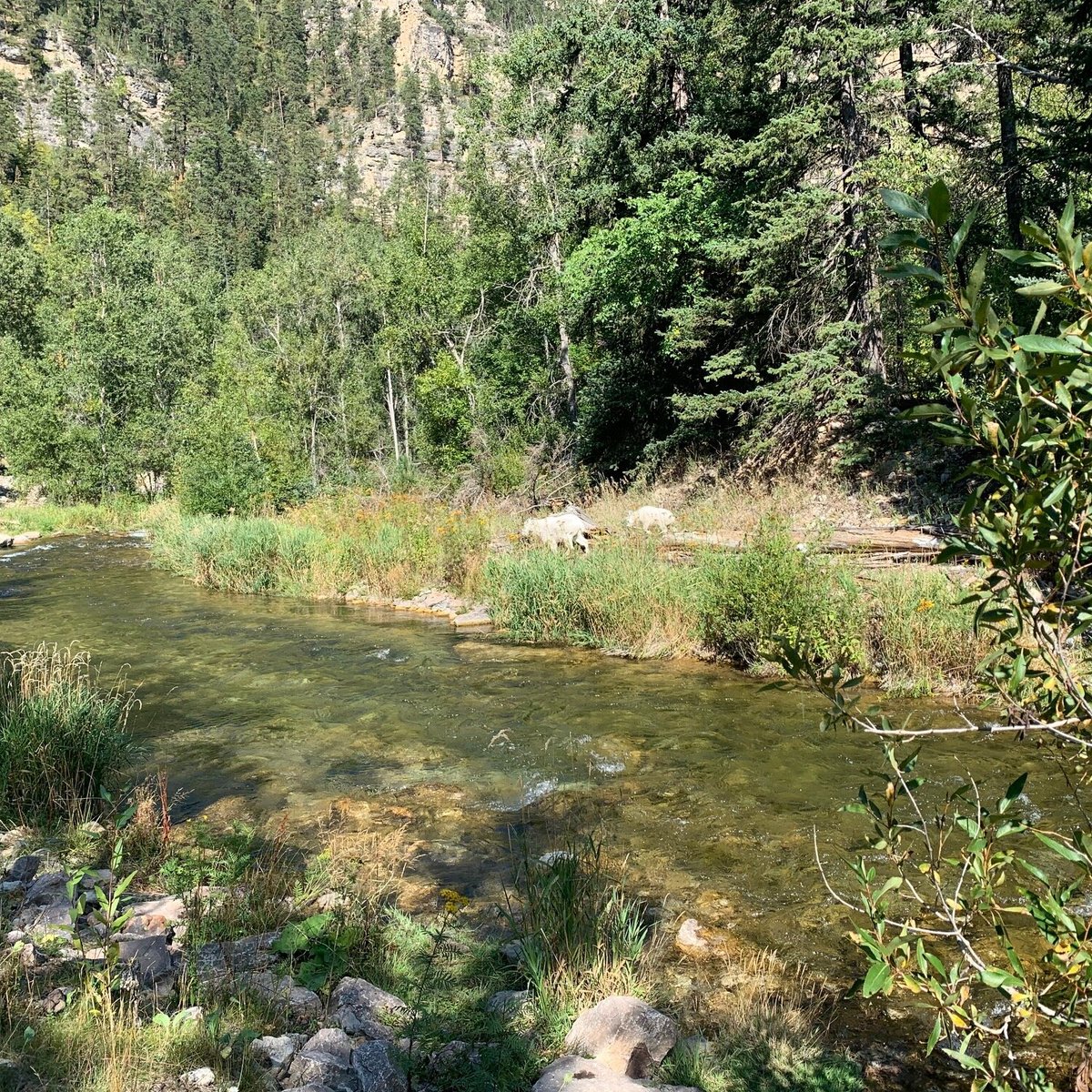 Spearfish Creek - All You Need to Know BEFORE You Go