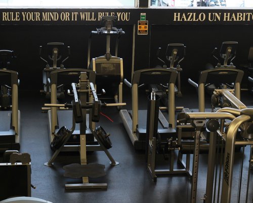 THE 5 BEST Los Cabos Health/Fitness Clubs & Gyms (with Photos)