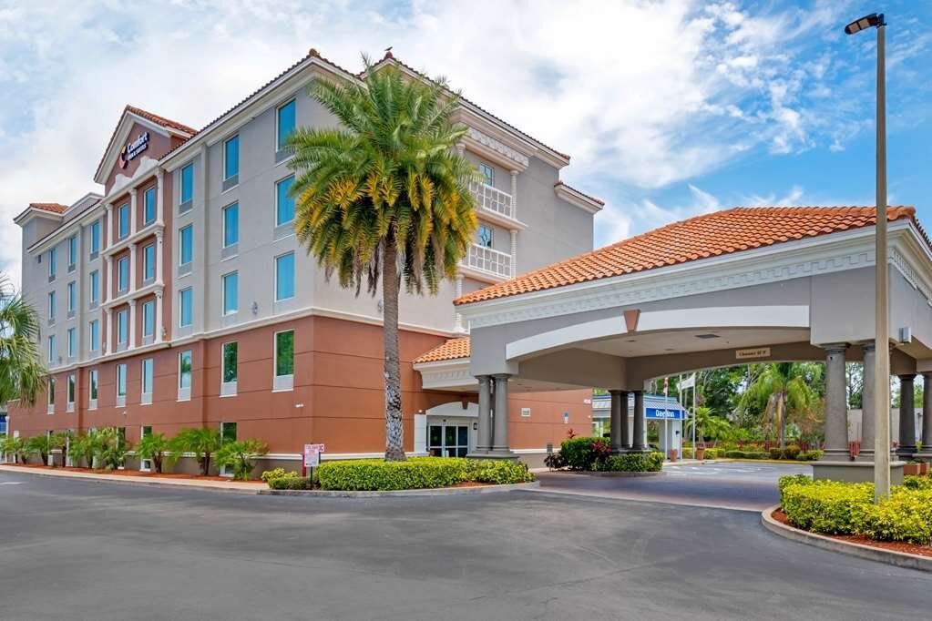 SEX AGENCY in Palm Bay