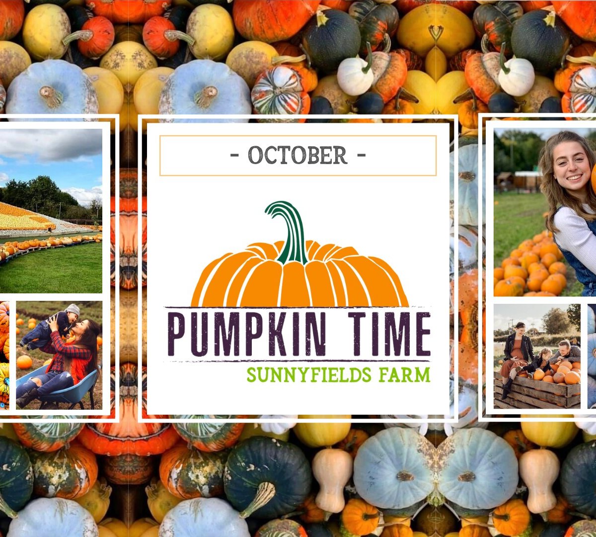 PUMPKIN TIME @ SUNNYFIELDS FARM (Totton): Ce qu'il faut savoir pour ...