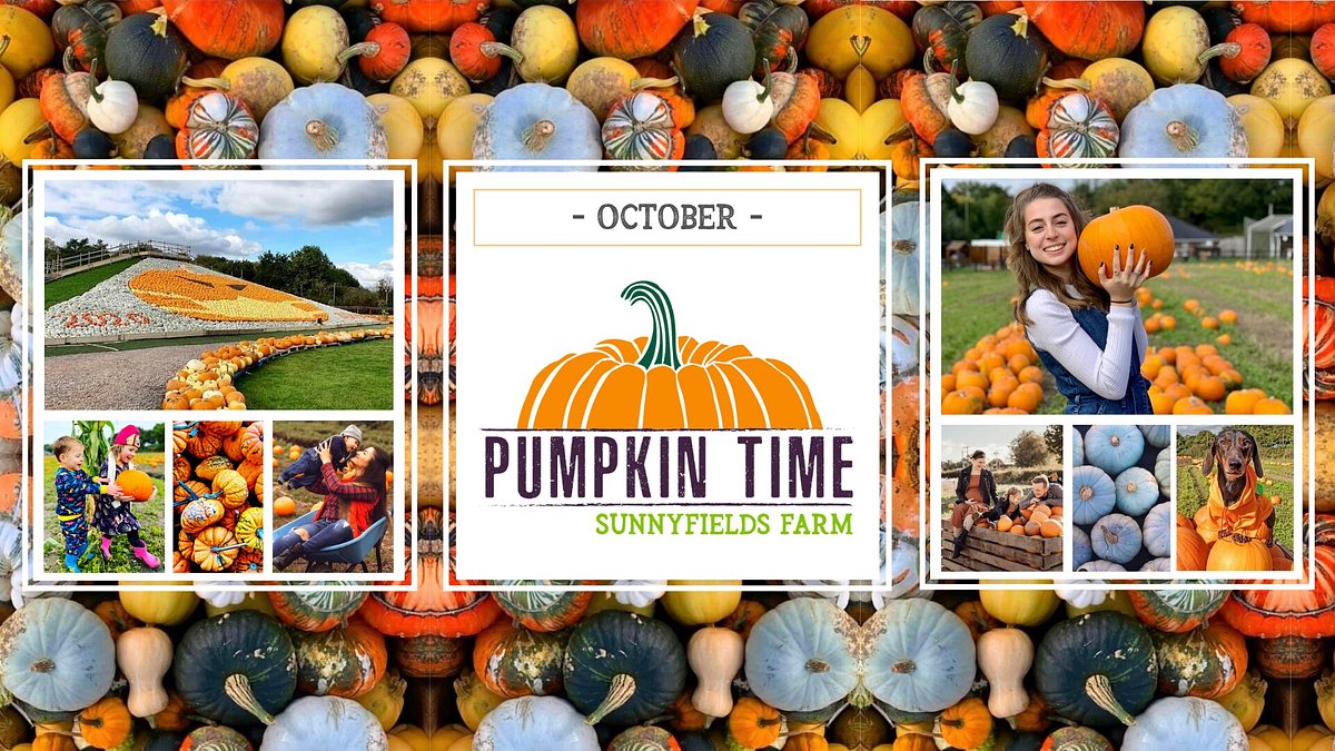 PUMPKIN TIME @ SUNNYFIELDS FARM (Totton) - All You Need to Know BEFORE You  Go