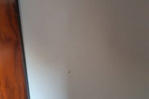 Phòng & Phòng Suite