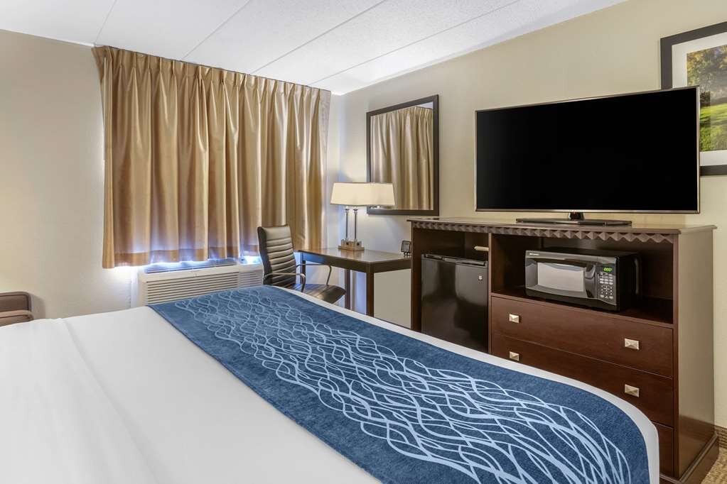 Hotel photo 53 of Comfort Inn Airport.