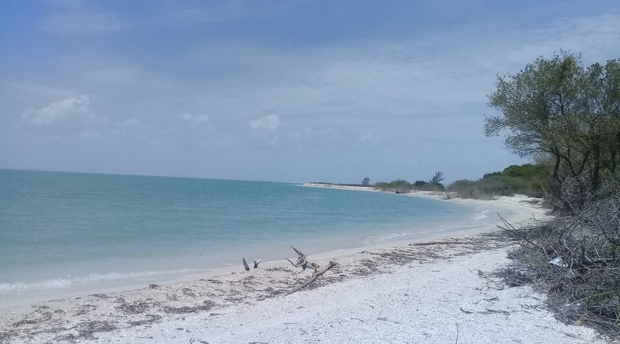 PLAYA PUNTA SAN JULIÁN - Qué SABER antes de ir (2024)